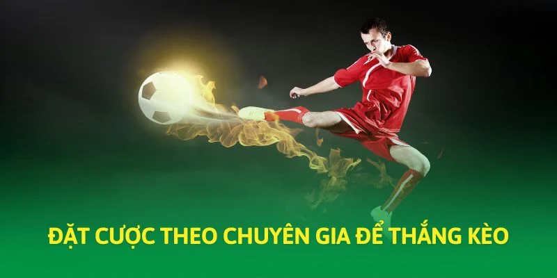 Đặt cược theo chuyên gia để thắng kèo